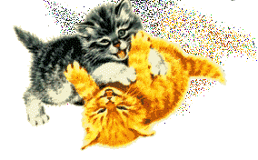 1e0afbd98a8dcc10d5d60337aa5e7ef8.gif