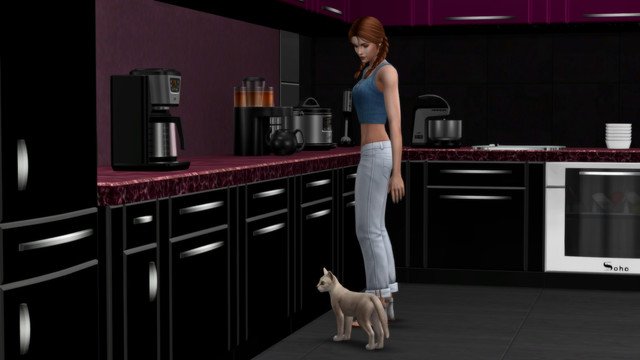 TS4-x64-2020-05-10-18-25-12.jpg