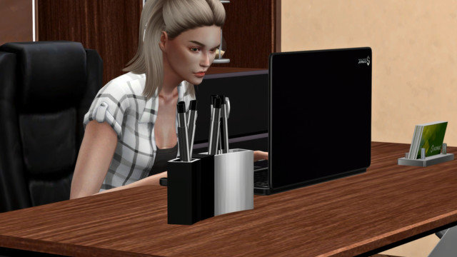 TS4-Sonic-0548.jpg