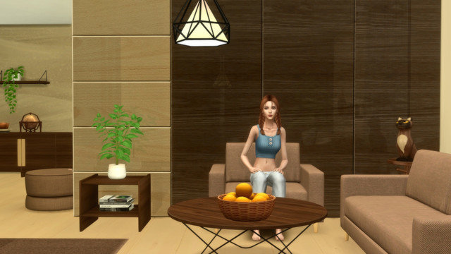 TS4-x64-2020-05-16-00-23-07.jpg