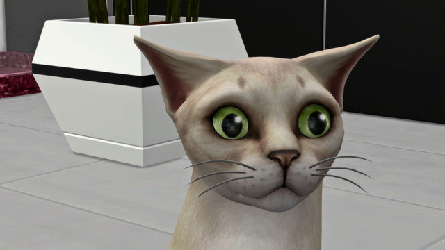 TS4-x64-2020-05-10-18-00-57.jpg