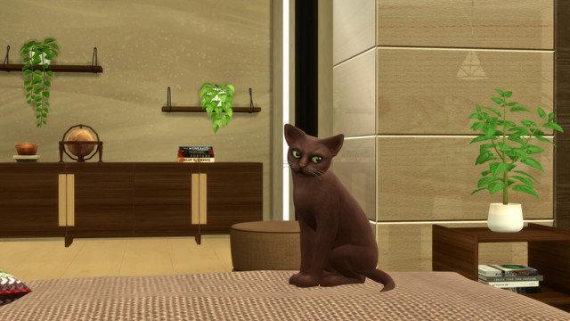 TS4-x64-2020-05-15-23-50-45.jpg
