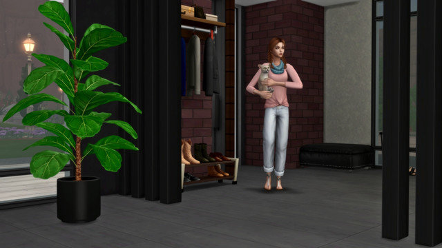 TS4-x64-2020-05-10-17-33-30.jpg