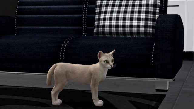 TS4-x64-2020-05-10-18-13-00.jpg