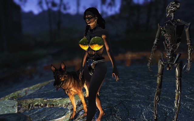 Fallout4-2019-02-11-23-17-02-95.jpg