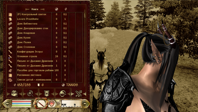 Oblivion-2019-06-25-12-21-57-69.png