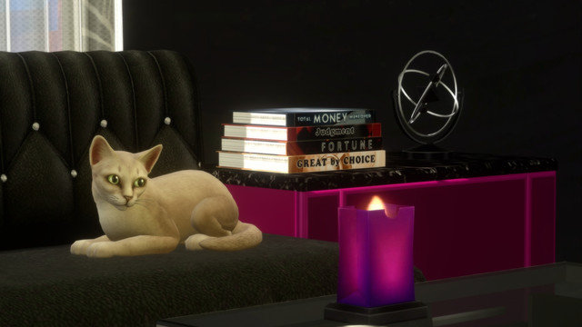 TS4-x64-2020-05-10-23-38-50.jpg