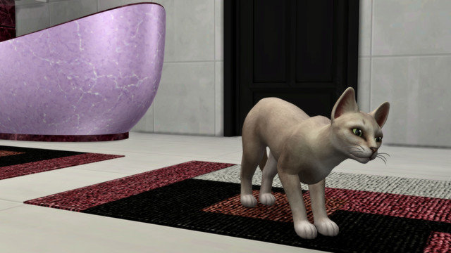 TS4-x64-2020-05-10-18-07-32.jpg
