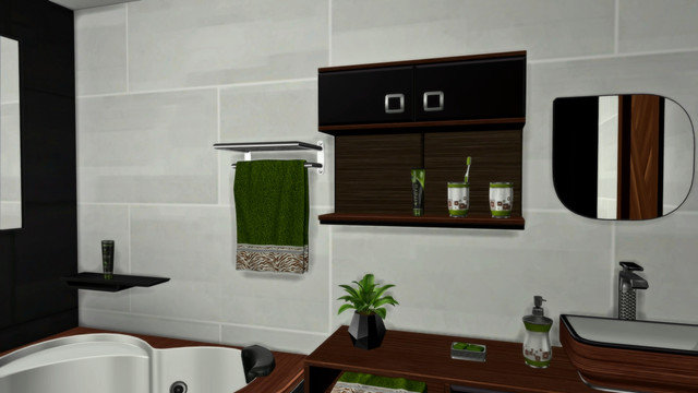 TS4-Sonic-0492.jpg