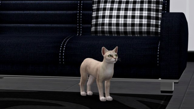 TS4-x64-2020-05-10-18-10-47.jpg
