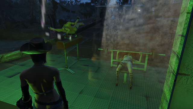 Fallout4-2019-01-24-03-23-29.png