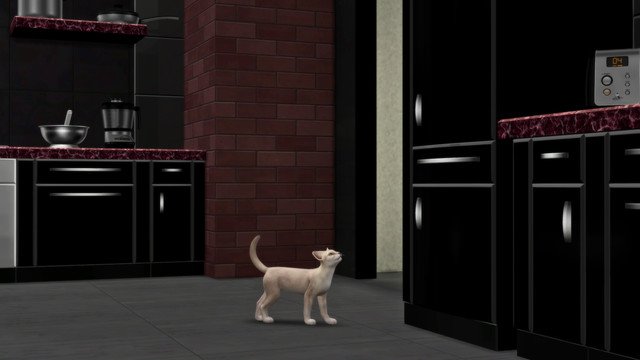 TS4-x64-2020-05-10-18-19-55.jpg