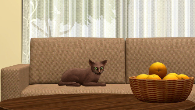 TS4-x64-2020-05-15-23-43-49.jpg