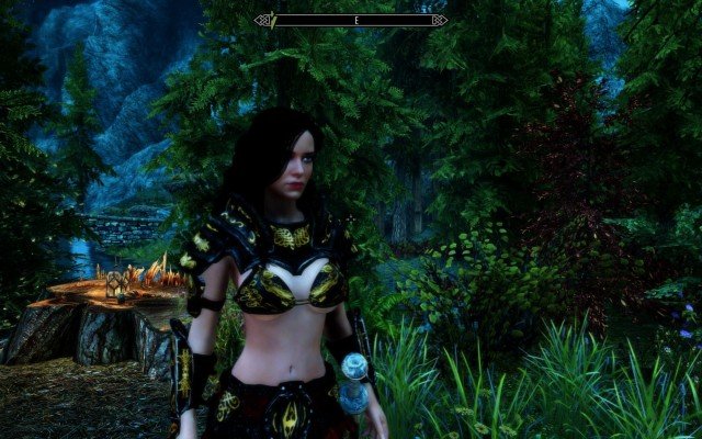 Skyrim-SE-2019-02-09-12-02-46-12.jpg