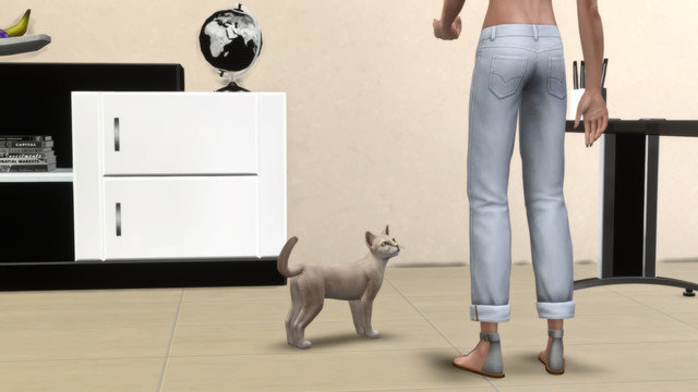 TS4-x64-2020-05-11-00-41-30.jpg