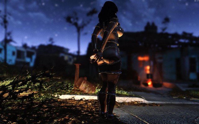Fallout4-2019-02-12-22-17-49-79.jpg