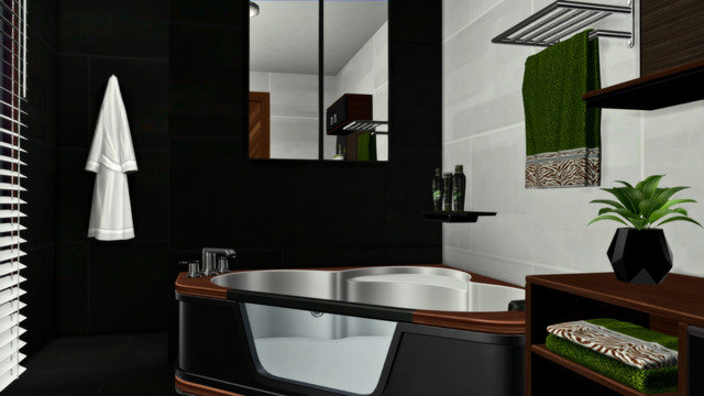 TS4-Sonic-0484.jpg