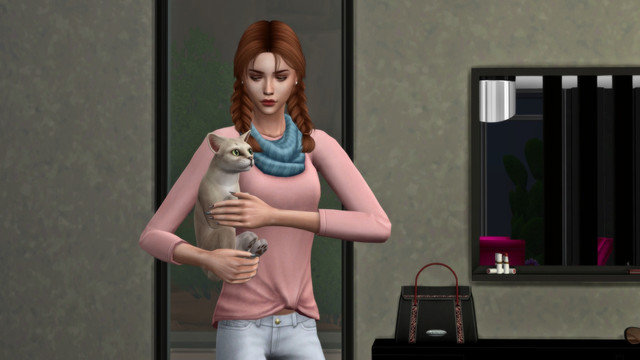 TS4-x64-2020-05-10-17-33-50.jpg