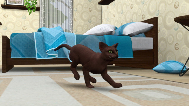 TS4-x64-2020-05-15-23-31-39.jpg