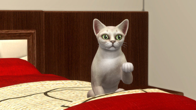 TS4-x64-2020-05-10-18-56-45.jpg