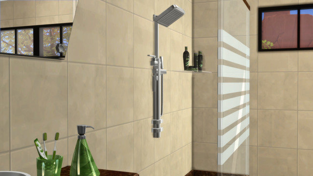 TS4-x64-2020-05-10-22-43-62.jpg
