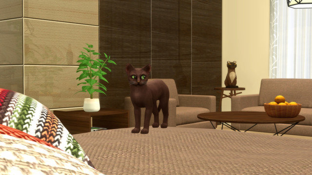 TS4-x64-2020-05-15-23-49-31.jpg