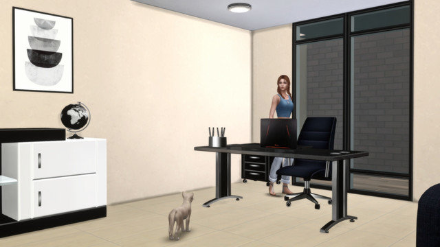 TS4-x64-2020-05-11-00-44-10.jpg