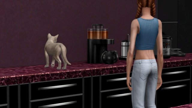 TS4-x64-2020-05-10-18-25-39.jpg