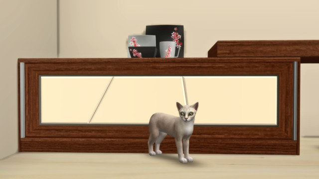 TS4-x64-2020-05-10-18-49-16.jpg