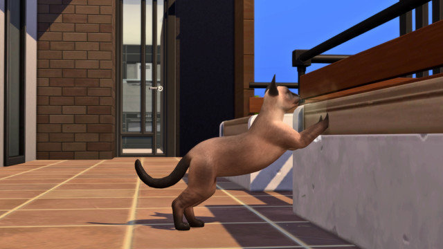 TS4-x64-2020-05-04-00-22-56.jpg