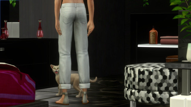 TS4-x64-2020-05-10-23-19-40.jpg
