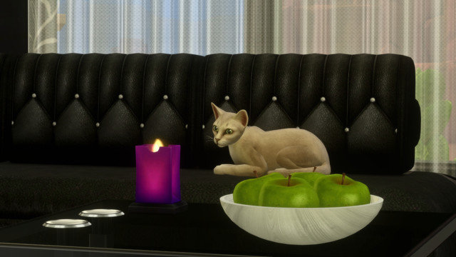TS4-x64-2020-05-10-23-38-36.jpg