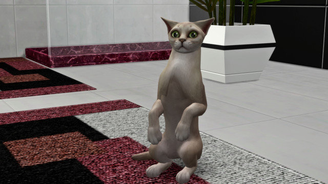 TS4-x64-2020-05-10-18-00-52.jpg