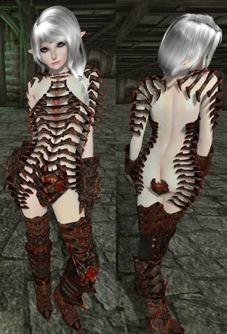 Female-armors-remdel-17.jpg