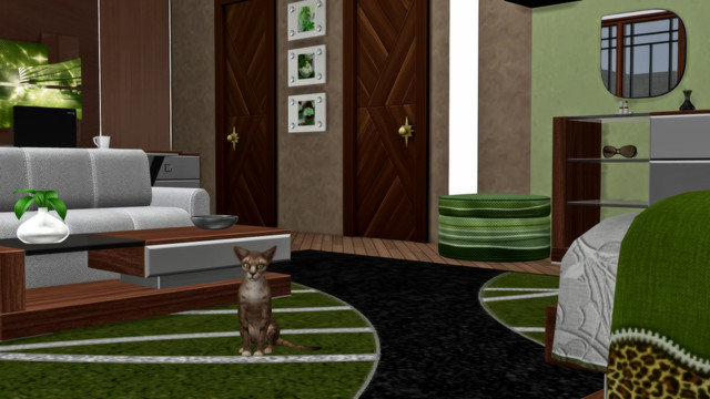 TS4-Sonic-0476.jpg