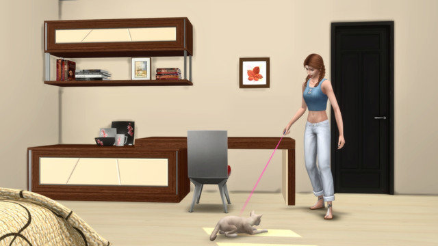 TS4-x64-2020-05-10-19-05-26.jpg