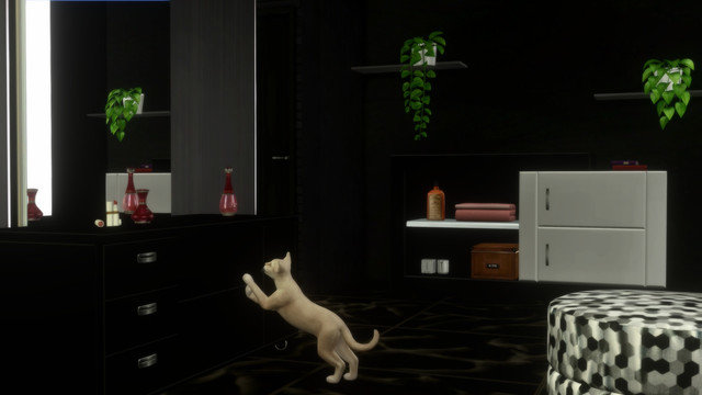 TS4-x64-2020-05-10-23-17-02.jpg