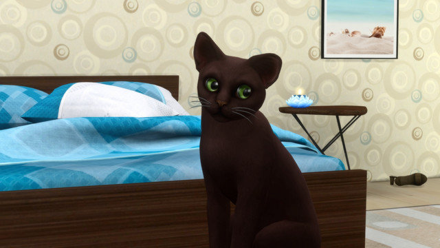 TS4-x64-2020-05-15-23-55-28.jpg