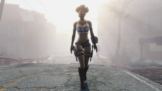 Fallout4-2019-01-19-23-33-24.png