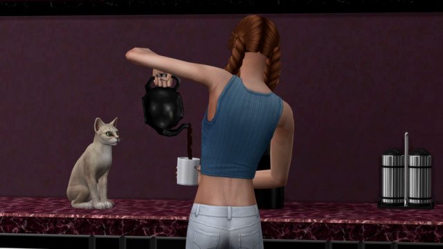 TS4-x64-2020-05-10-18-26-06.jpg