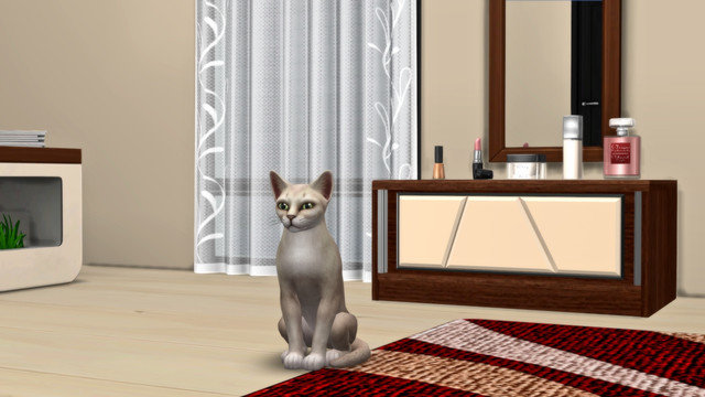TS4-x64-2020-05-10-18-47-56.jpg