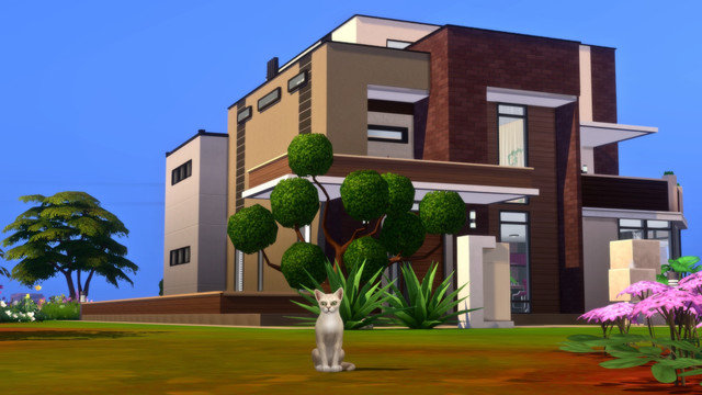 TS4-x64-2020-05-10-19-15-24.jpg