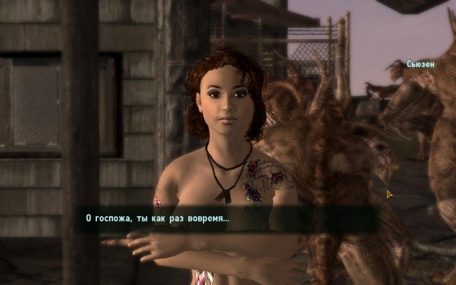 Fallout-NV-2019-01-26-20-26-56-47.jpg