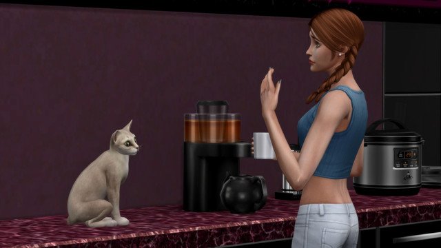 TS4-x64-2020-05-10-18-26-39.jpg