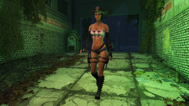 Fallout4-2019-01-20-15-29-40.png