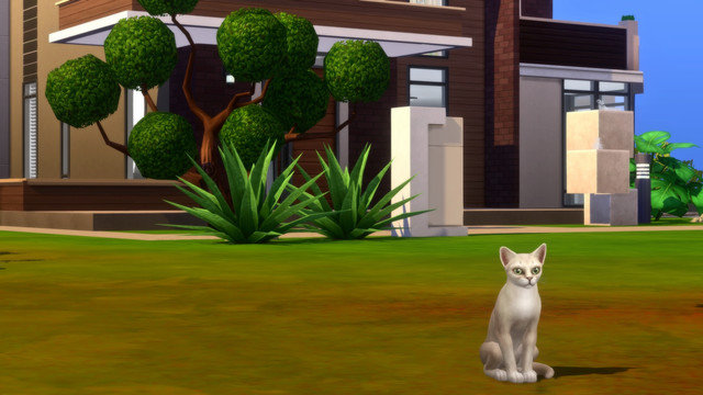 TS4-x64-2020-05-10-19-15-48.jpg