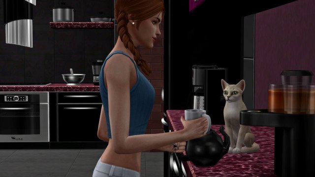 TS4-x64-2020-05-10-18-26-20.jpg