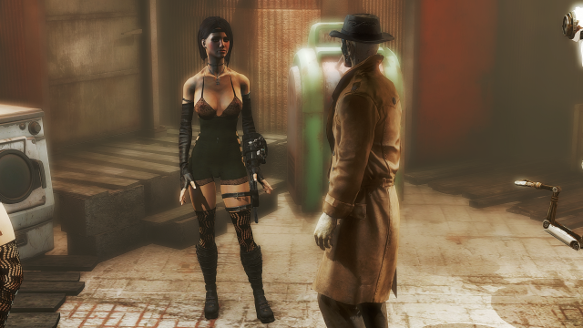 Fallout4-2018-11-27-02-13-44.png