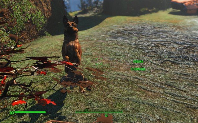 Fallout4-2019-02-11-14-13-20-49.jpg