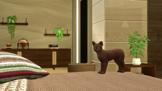 TS4-x64-2020-05-15-23-49-45.jpg